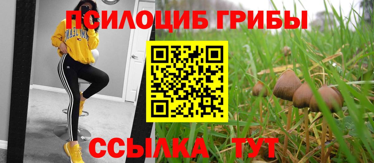 Кандалакша  Псилоцибиновые грибы мухоморы  Вход с VPN 